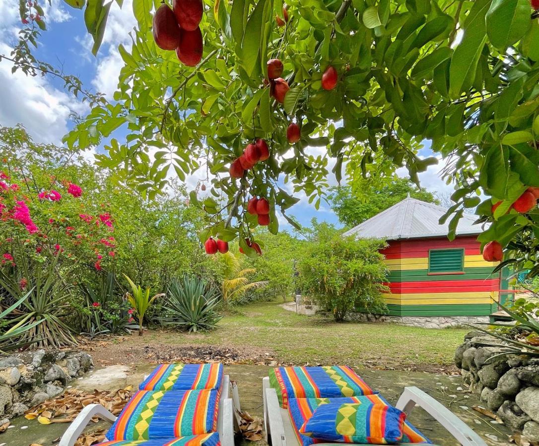 Judy House 2 - Lewis Backpacker Hostel Little Bay Экстерьер фото