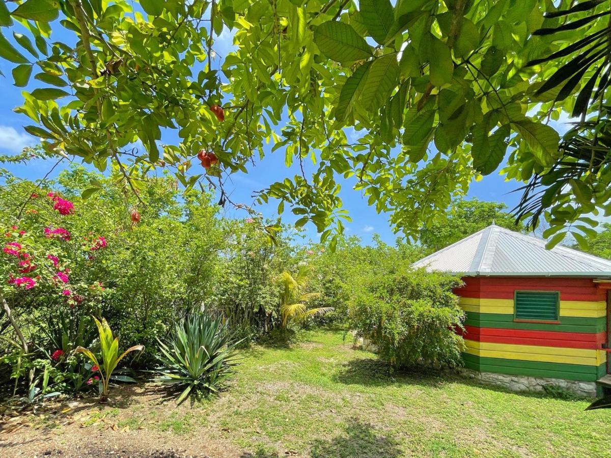 Judy House 2 - Lewis Backpacker Hostel Little Bay Номер фото